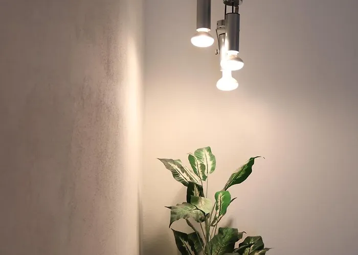 Casa Blu Mare Privat 8 Person * San Nicola Arcella